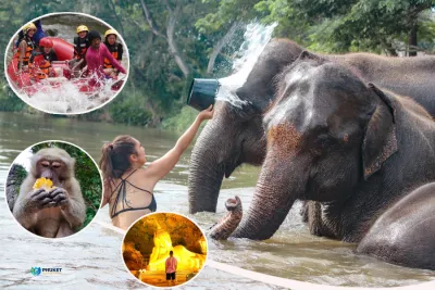 White Rafting + Bathing with Elephant + Flying Fox Full Day Tour