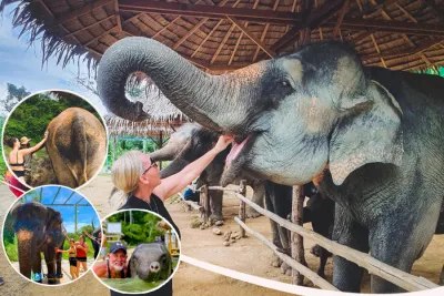 Phuket Elephant Sanctuary Half Day Tour